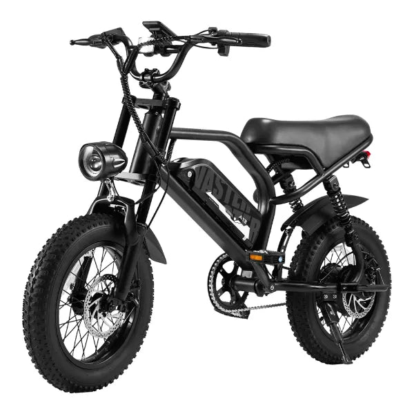 AVDL BIKE A13 Elektrofahrrad für Erwachsene, 800-W-Spitzenmotor, herausnehmbarer Akku, geeignet für Freizeitfahrten und Pendeln