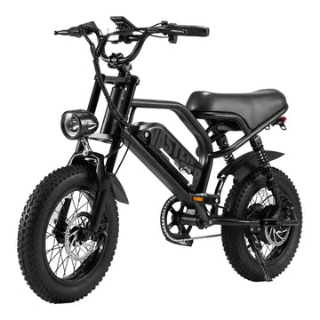 AVDL BIKE A13 Elektrofahrrad für Erwachsene, 800-W-Spitzenmotor, herausnehmbarer Akku, geeignet für Freizeitfahrten und Pendeln